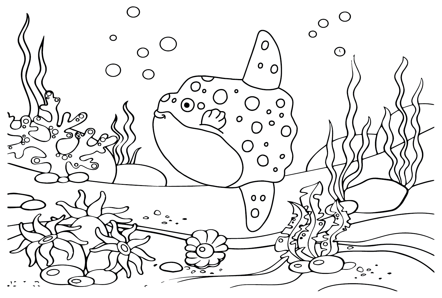 Ocean sunfish coloring pages