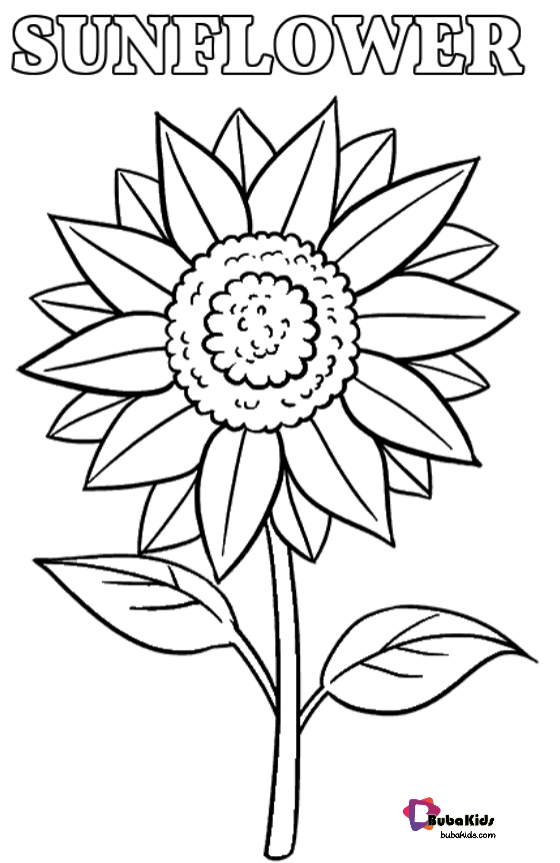 Free printable sunflower coloring pages for use in your classroom or home print and color this â sunflower coloring pages cartoon coloring pages coloring pages