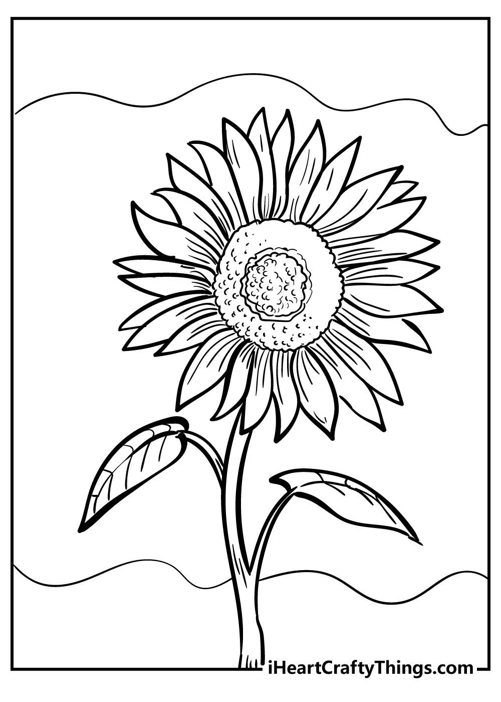 Sunflower coloring pages free printables