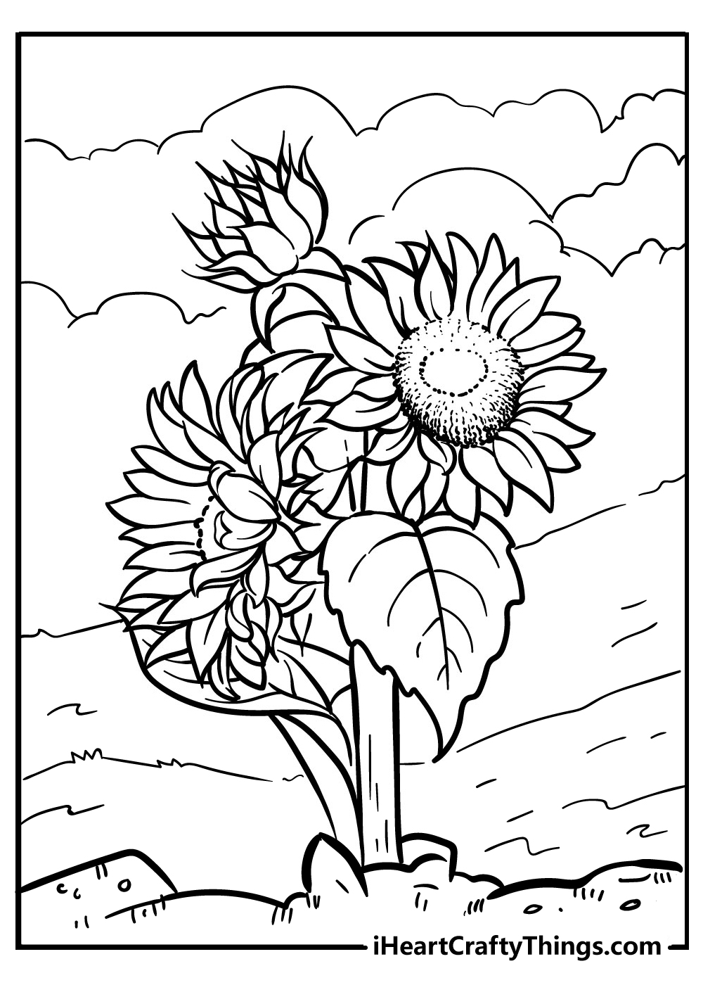 Sunflower coloring pages free printables