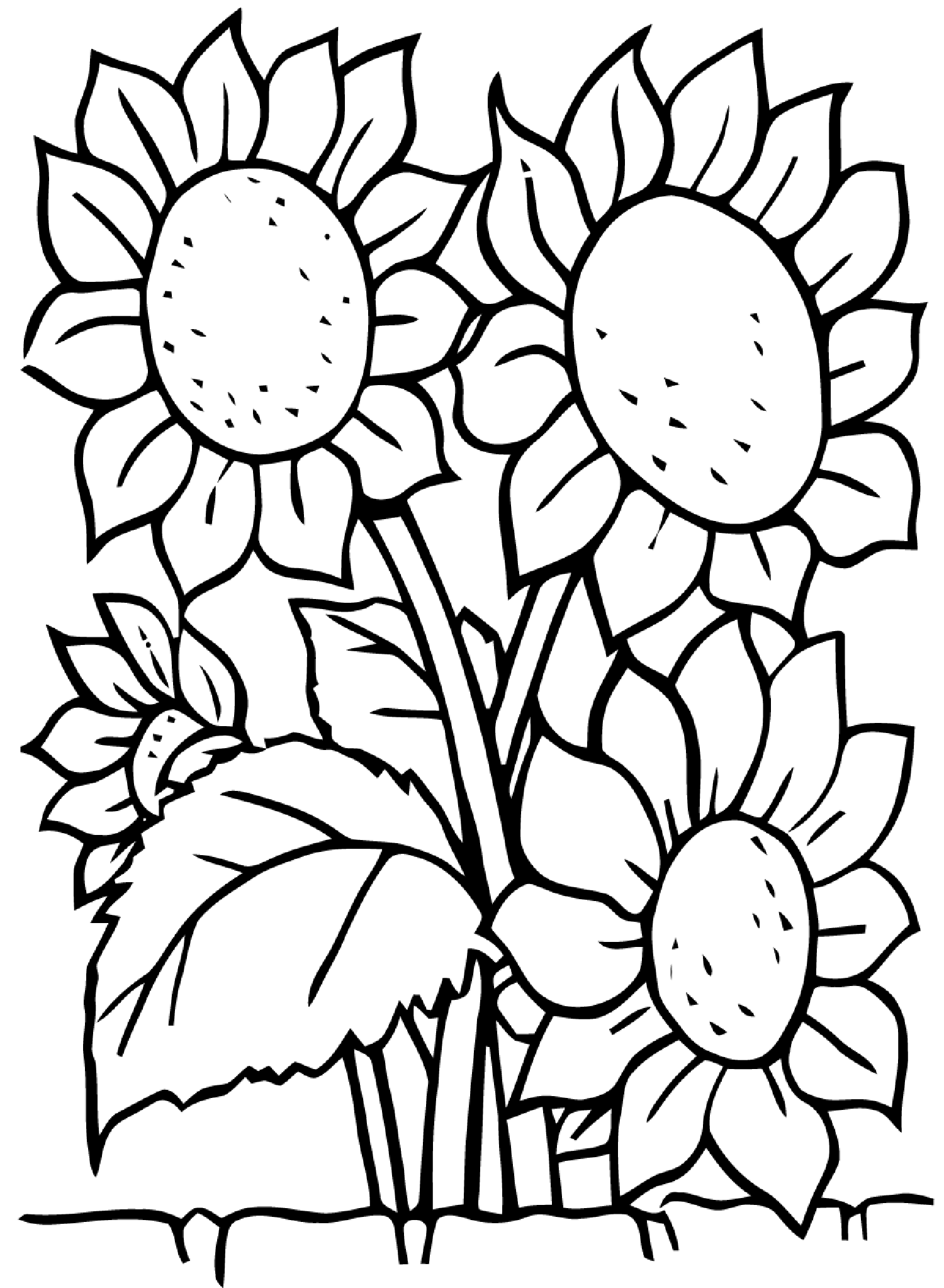 Coloring sunflowers coloring pages sunflower coloring pages flower coloring sheets printable flower coloring pages