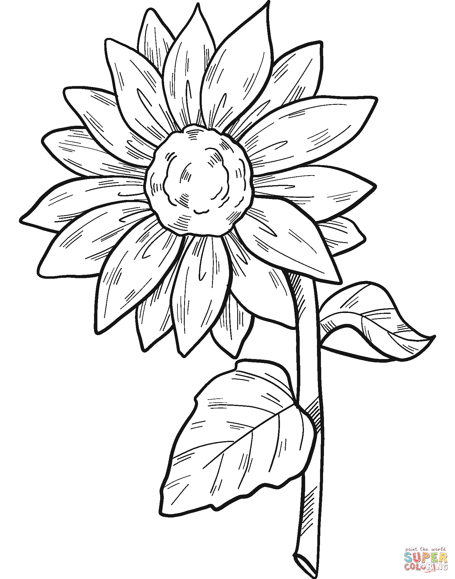 Sunflower coloring page free printable coloring pages