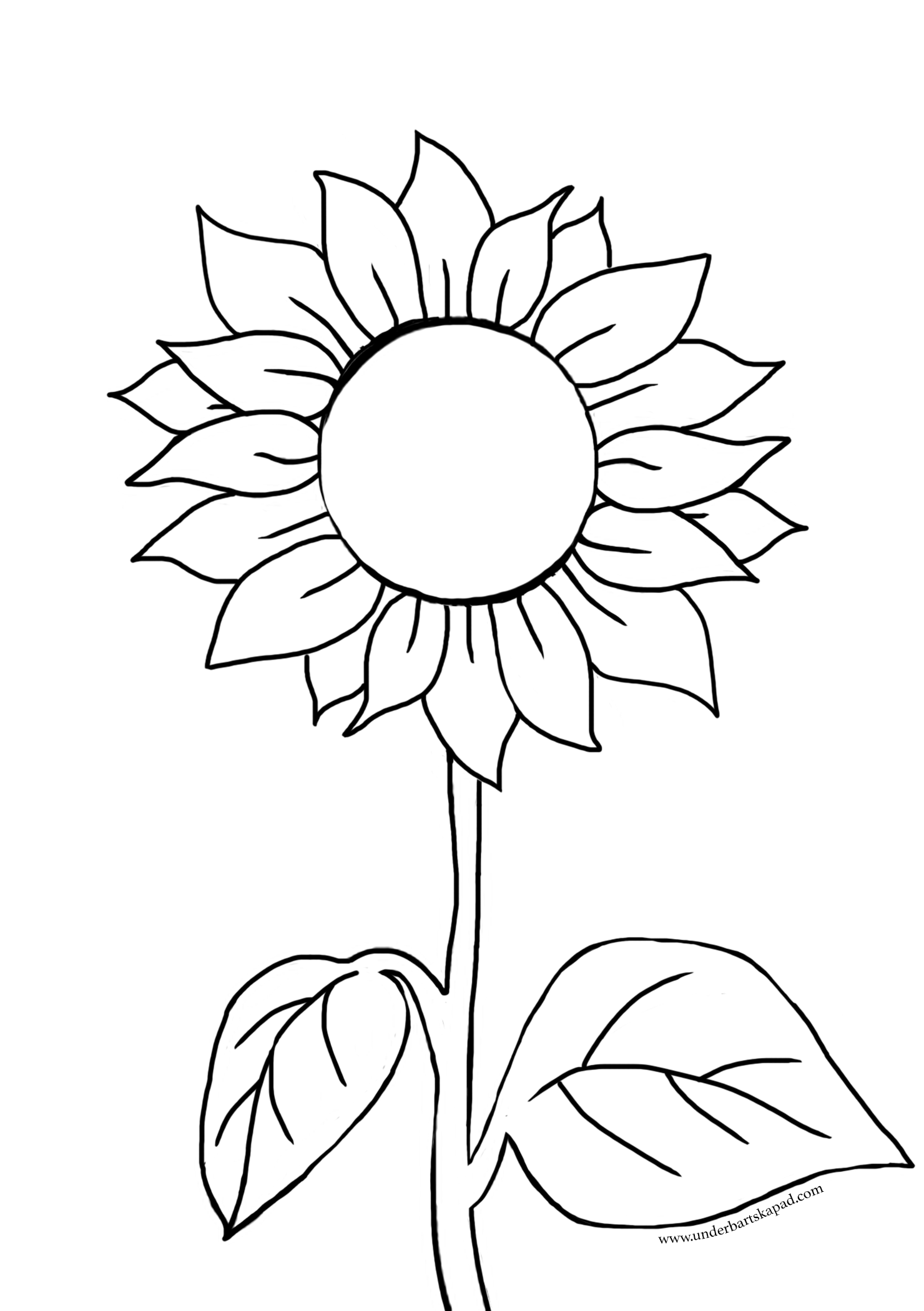 Sunflower coloring pages