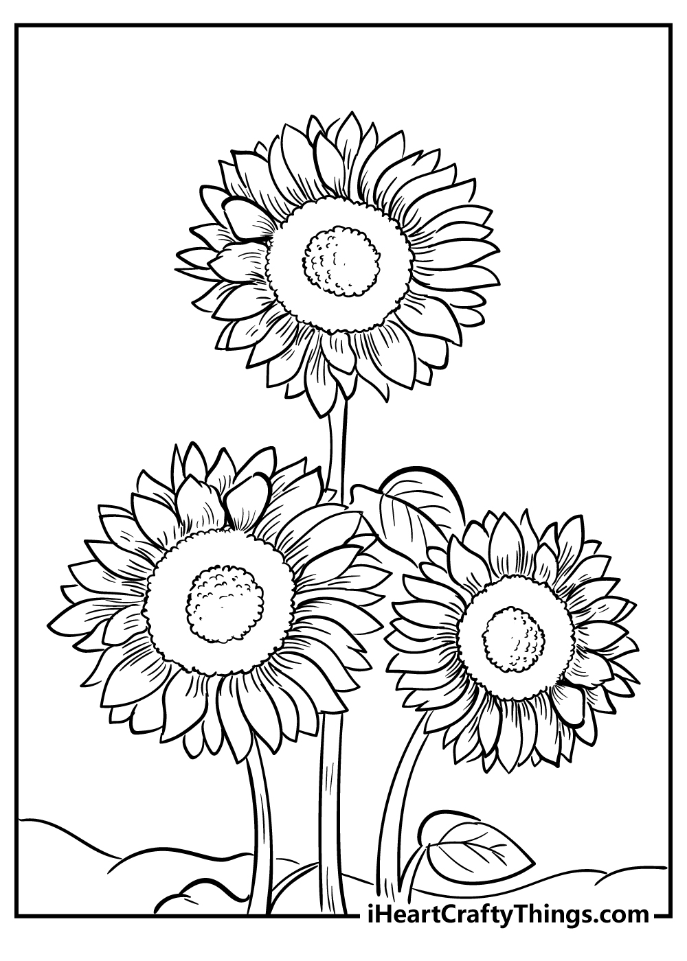 Sunflower coloring pages free printables