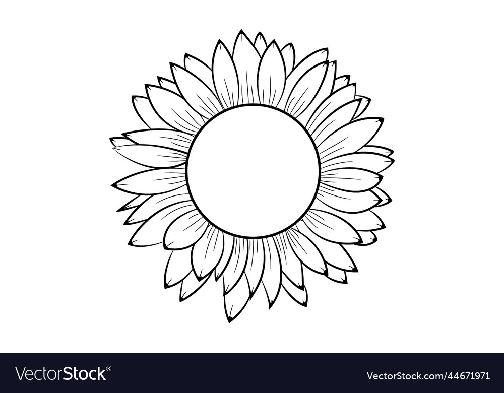 Sunflower coloring page for adults royalty free vector image