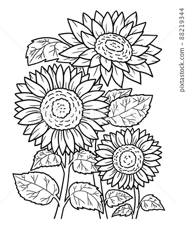 Sunflower coloring page for adults