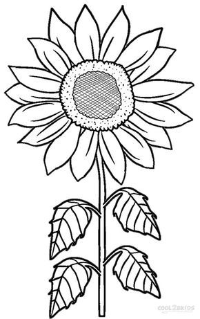 Printable sunflower coloring pages for kids coolbkids girassol desenho desenho do girassol padrãµes em arte de correntes