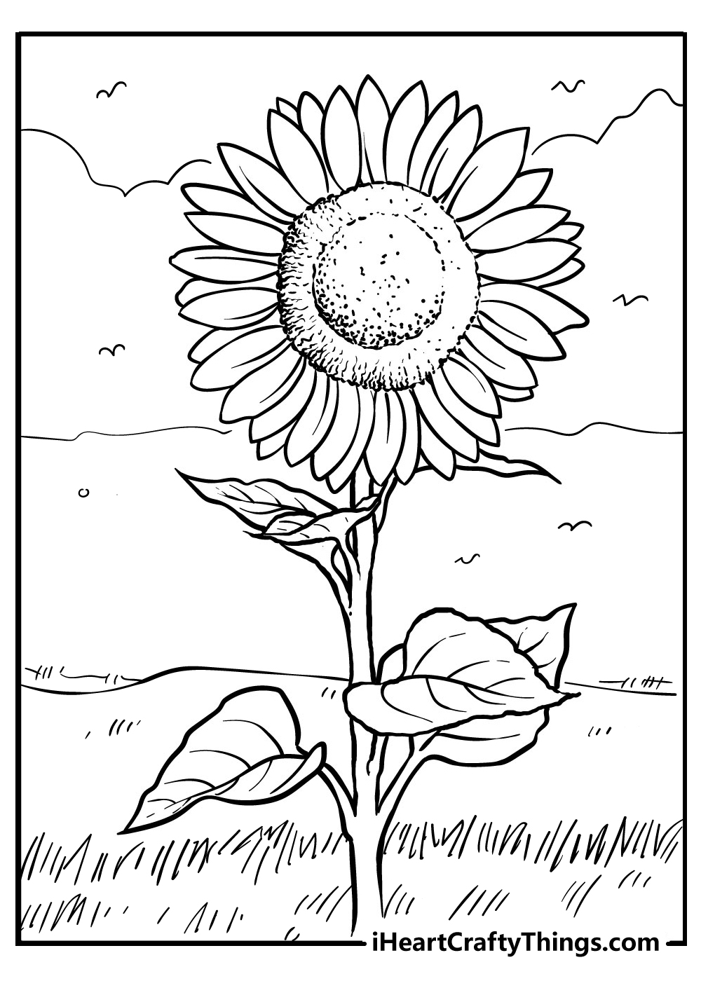 Sunflower coloring pages free printables