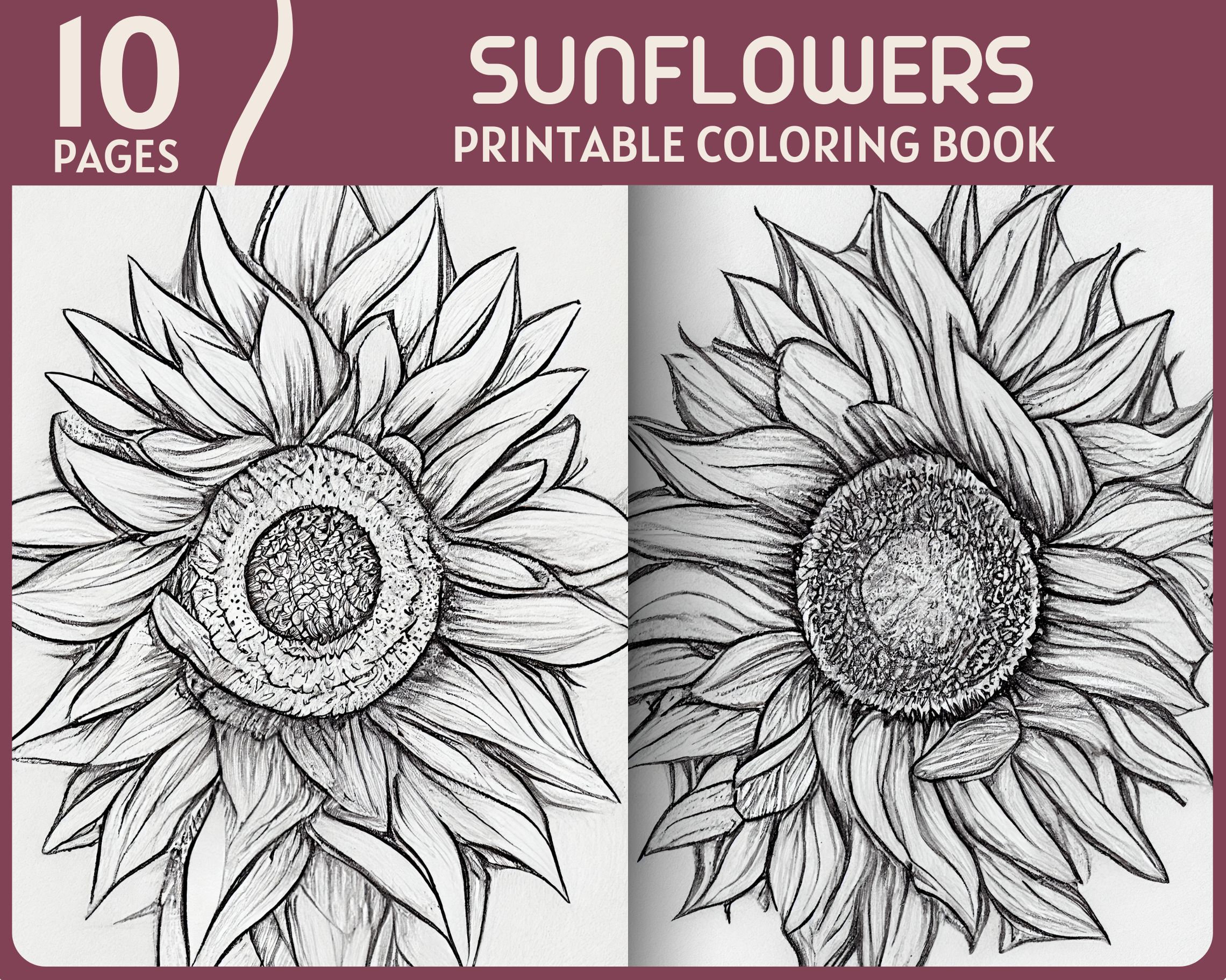 Sunflowers coloring pages realistic sunflower illustrations printable coloring book