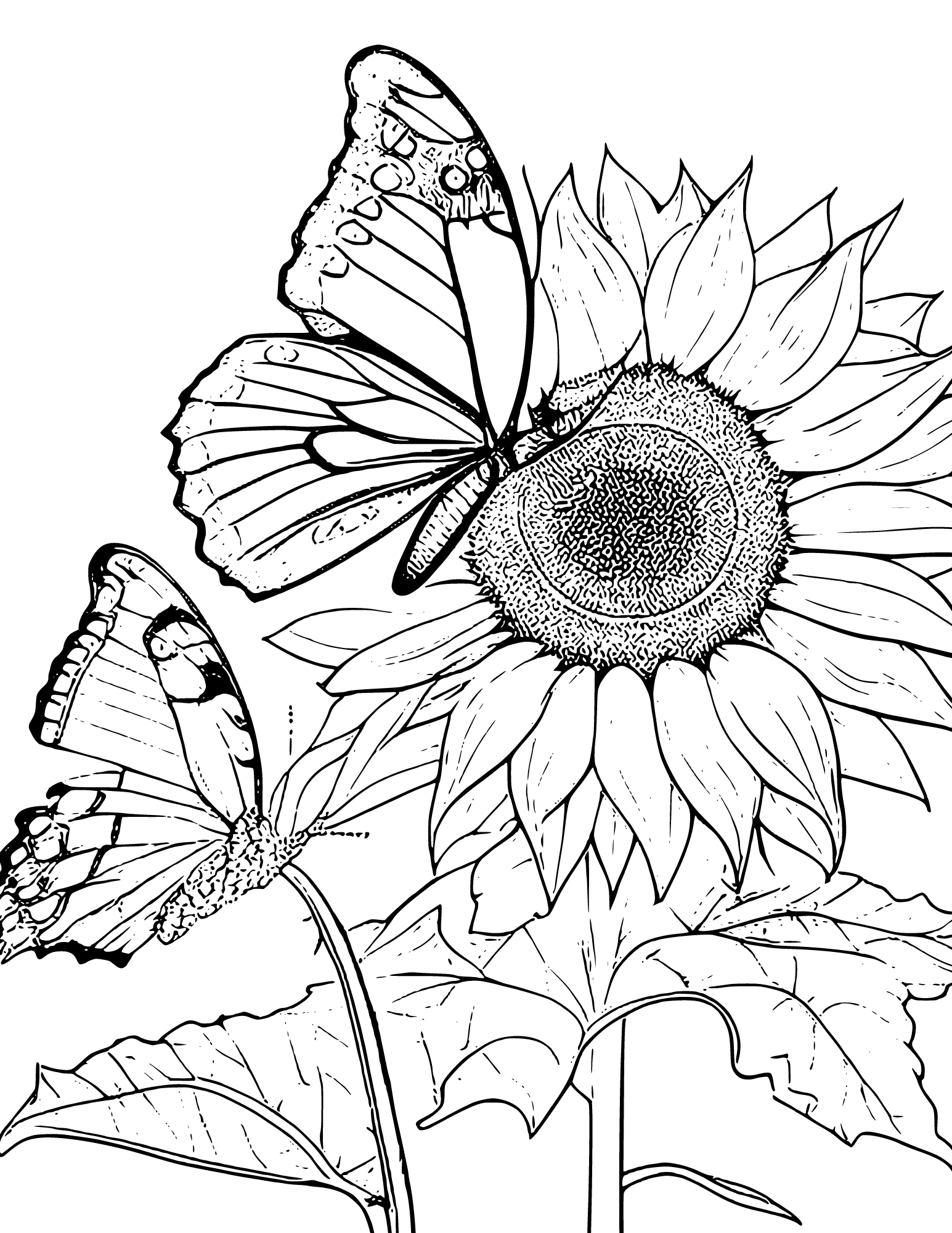 Free sunflower coloring pages for adults and kids