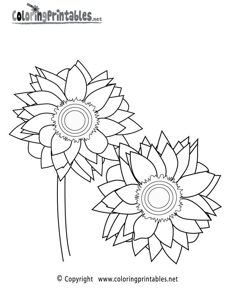 Sunflower coloring page