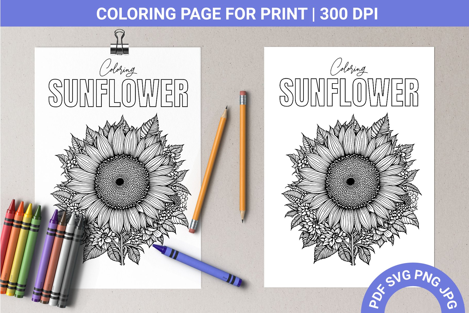 Sunflower flower coloring page a