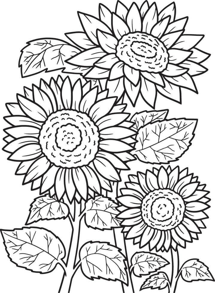 Sunflowers tree coloring page