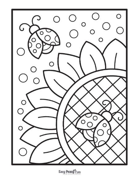 Printable sunflower coloring pages â sheets