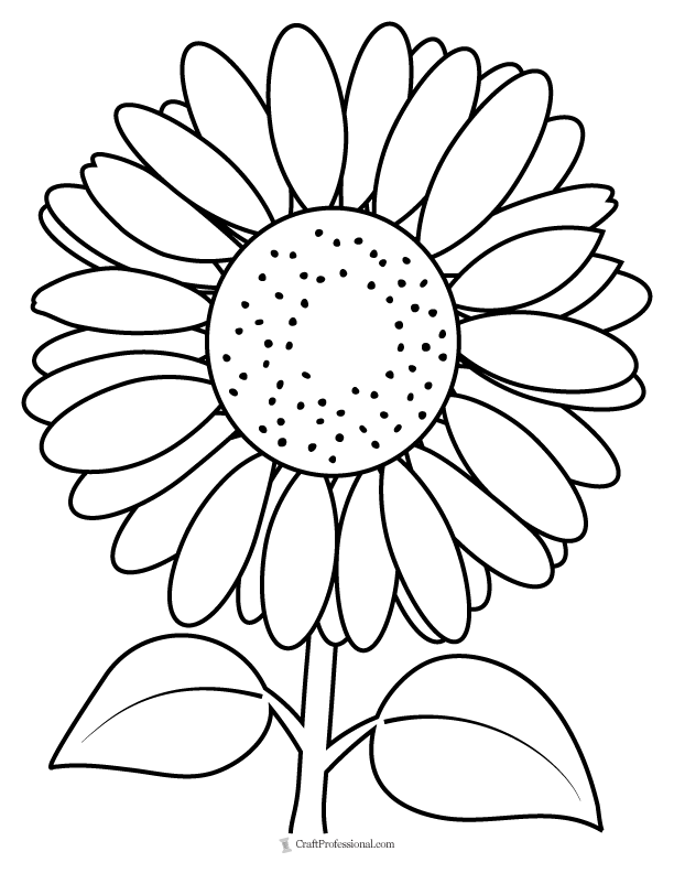 Flower coloring pages