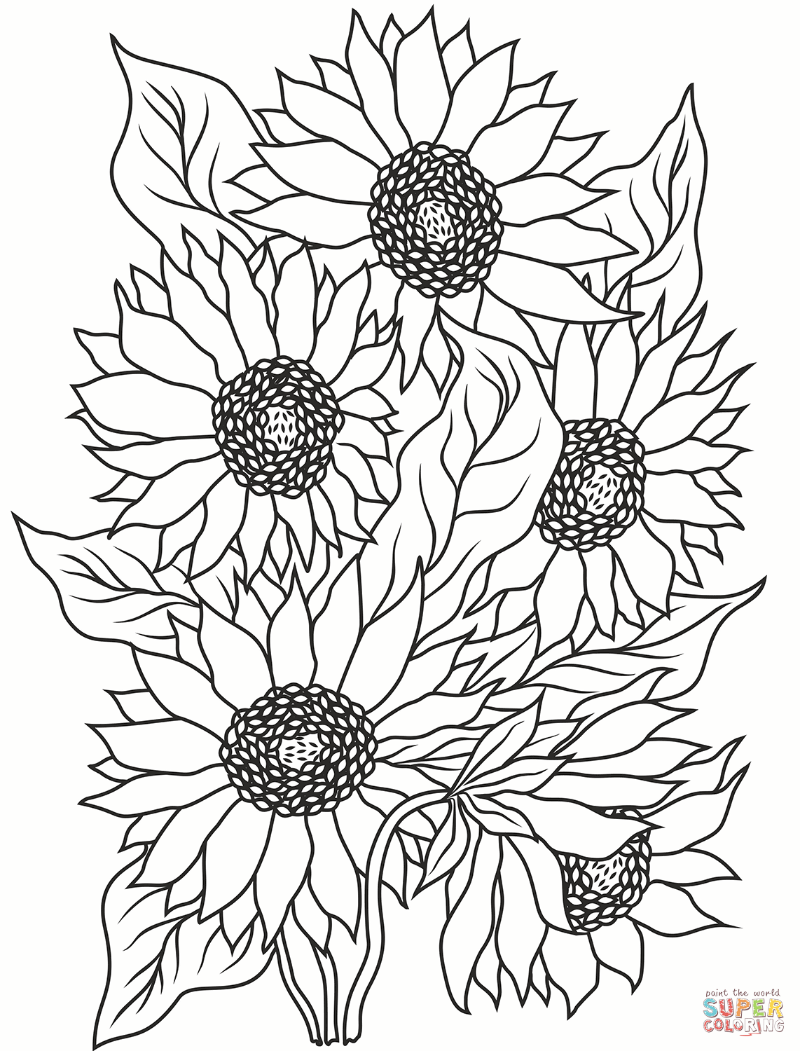 Sunflower coloring page free printable coloring pages