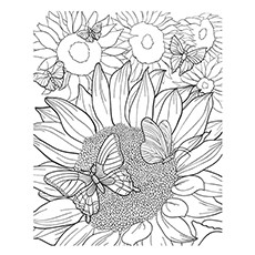 Beautiful sunflower coloring pages for your little girl