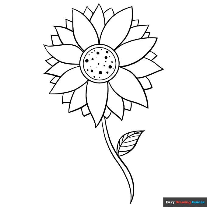 Sunflower coloring page easy drawing guides