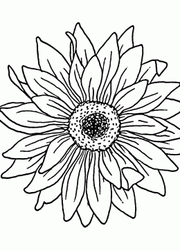 Sunflower coloring page for kids flower coloring pages printables free sunflower coloring pages flower coloring pages coloring pages