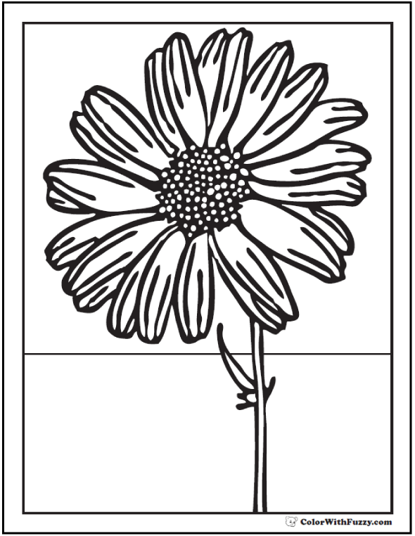 Sunflower coloring page pdf printables