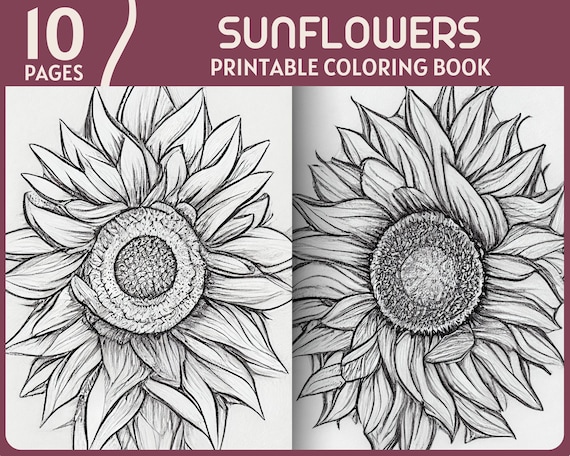 Sunflowers coloring pages realistic sunflower illustrations printable coloring book