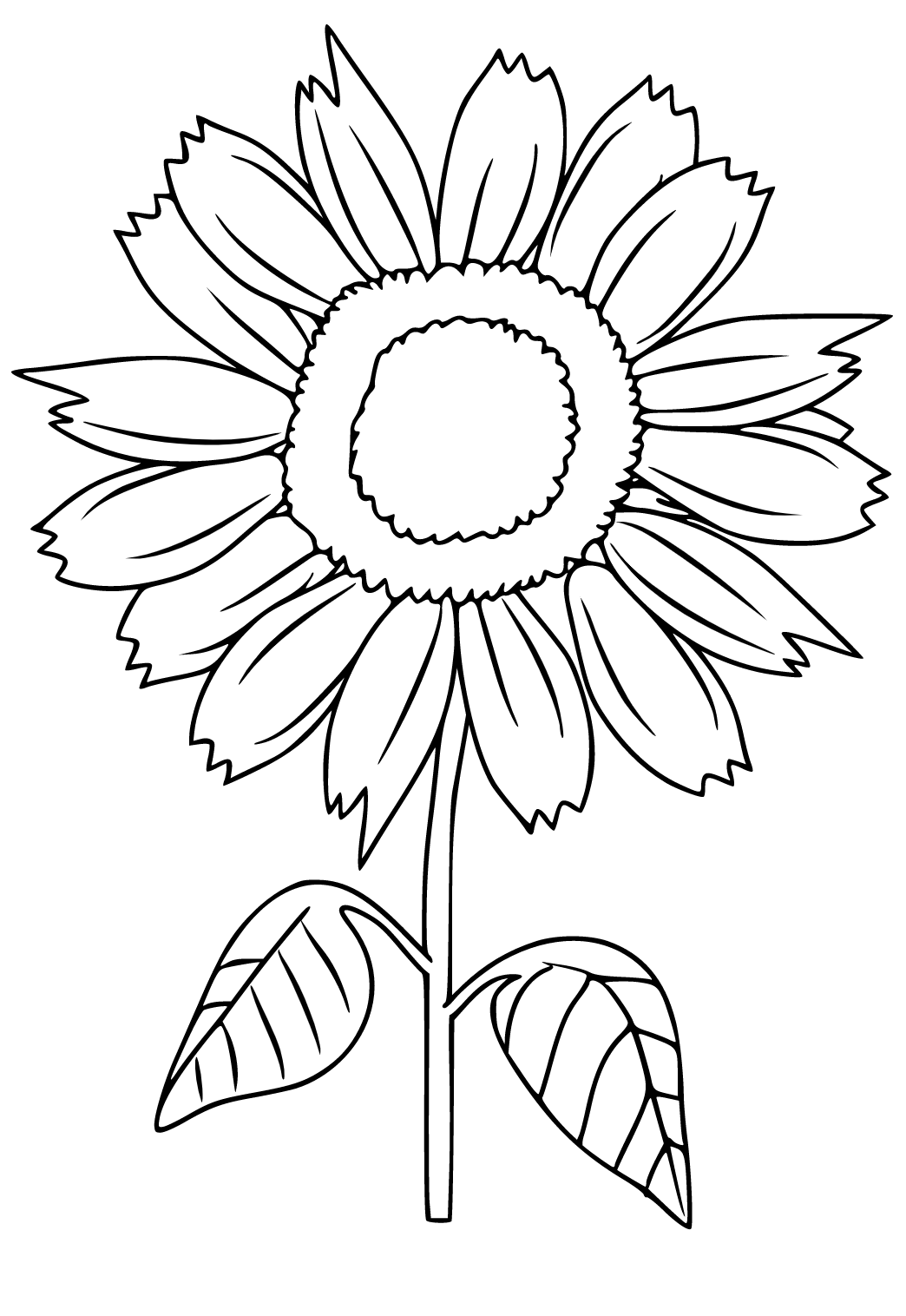 Free printable sunflower real coloring page for adults and kids