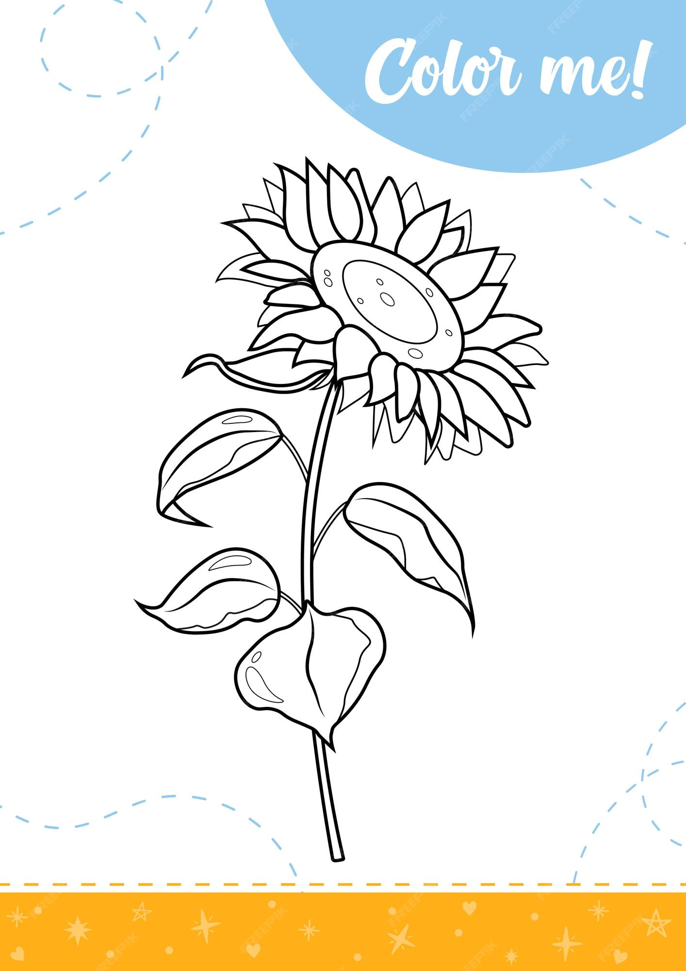 Premium vector coloring page for kids with blossoming sunflower a printable worksheet vector illustration