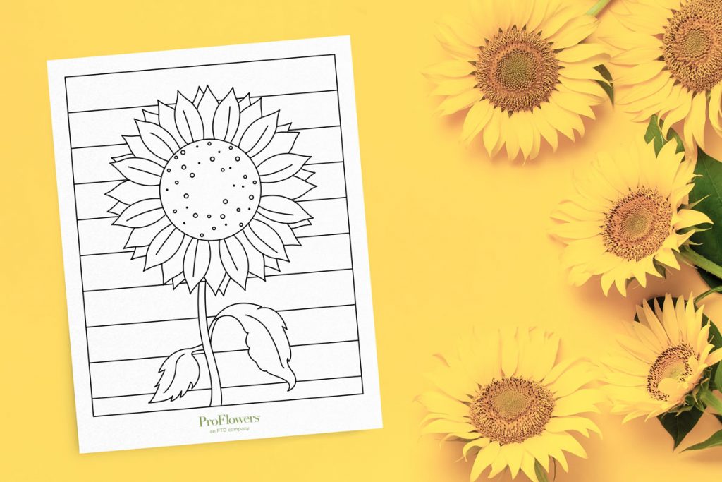 Free printable sunflower coloring pages for all ages