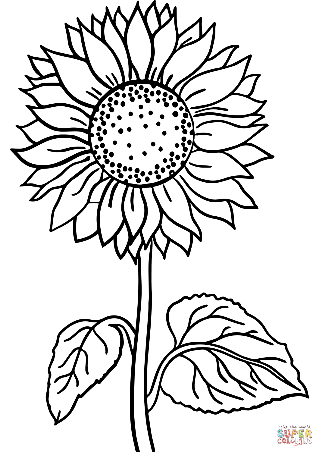 Sunflower coloring page free printable coloring pages