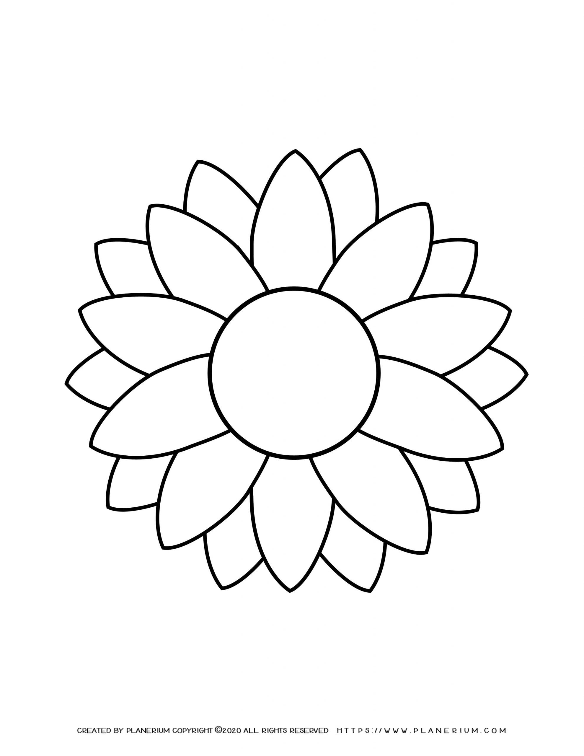 Sunflower outline template