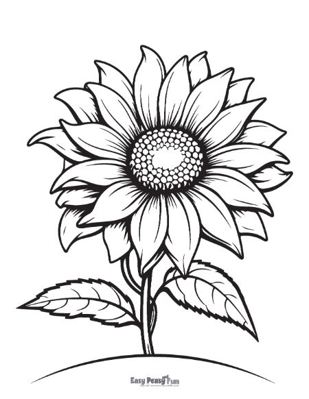 Printable sunflower coloring pages â sheets