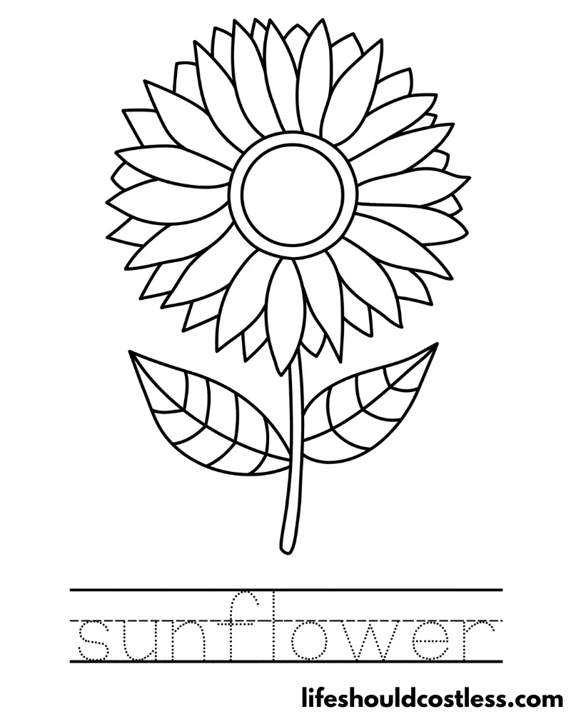 Sunflower coloring pages free printable pdf templates