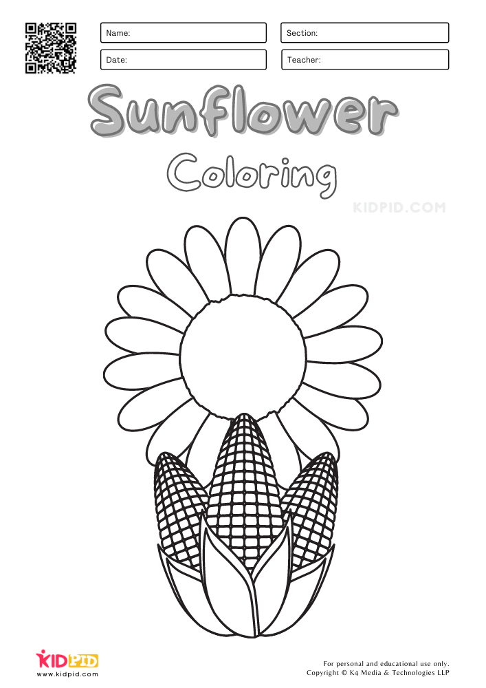 Sunflower coloring worksheets for kids