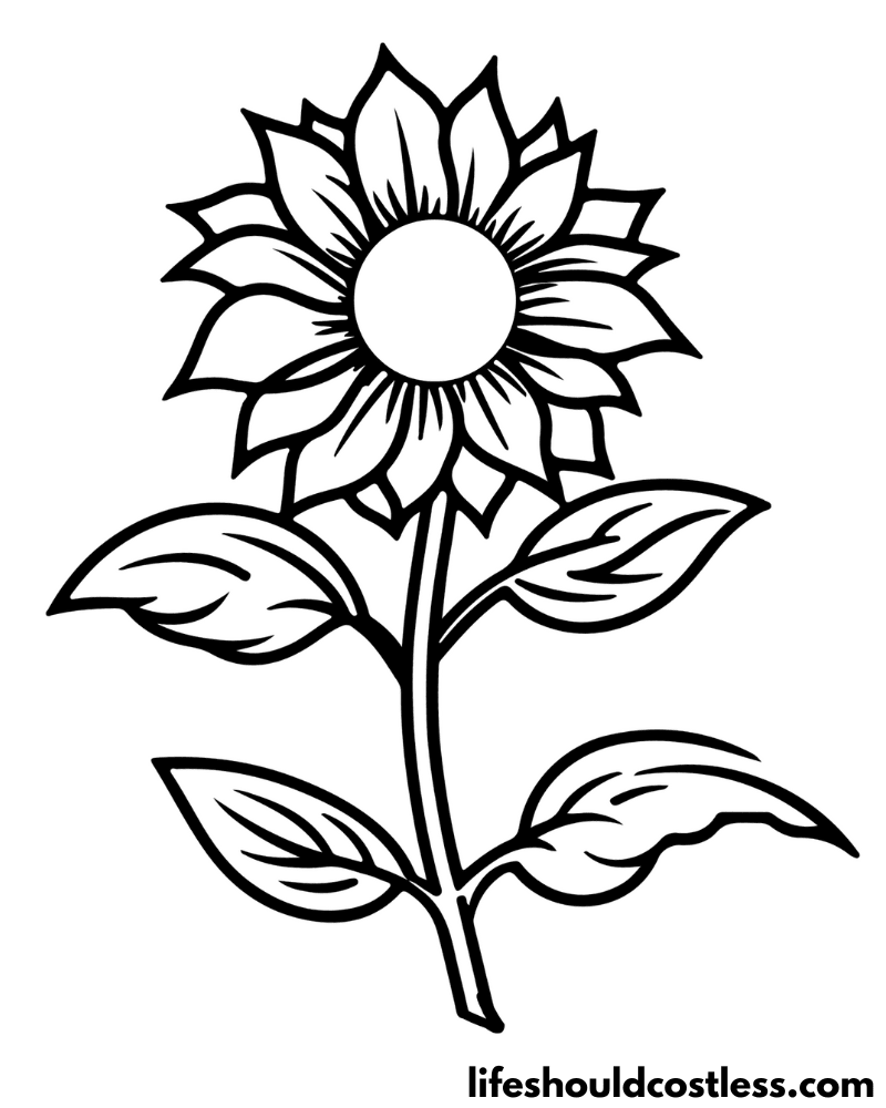 Sunflower coloring pages free printable pdf templates