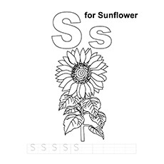 Beautiful sunflower coloring pages for your little girl