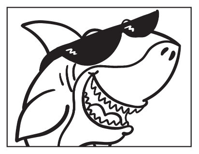 Shark coloring pages