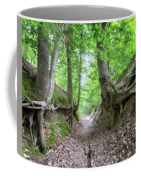 Sunken trace coffee mug by susan rissi tregoning