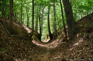 Blog natchez trace parkway association