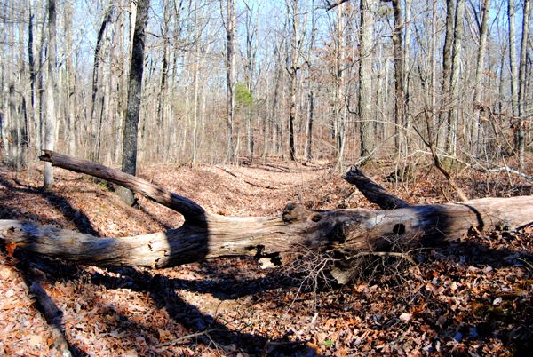 Natchez trace â traveled for thousands of years â page â legends of america