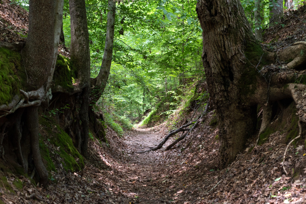 The ultimate natchez trace trip planner