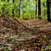 Sunken trace mile natchez trace parkway tennessee greeting card by ruth hager