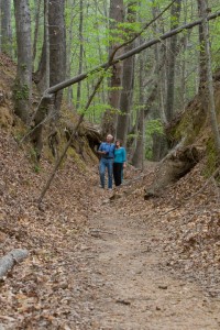 Blog natchez trace parkway association