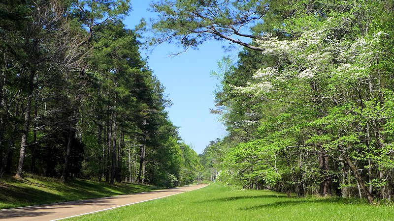 Travel guide natchez trace parkway scenic pathways