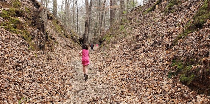 Best natural wonders in mississippi