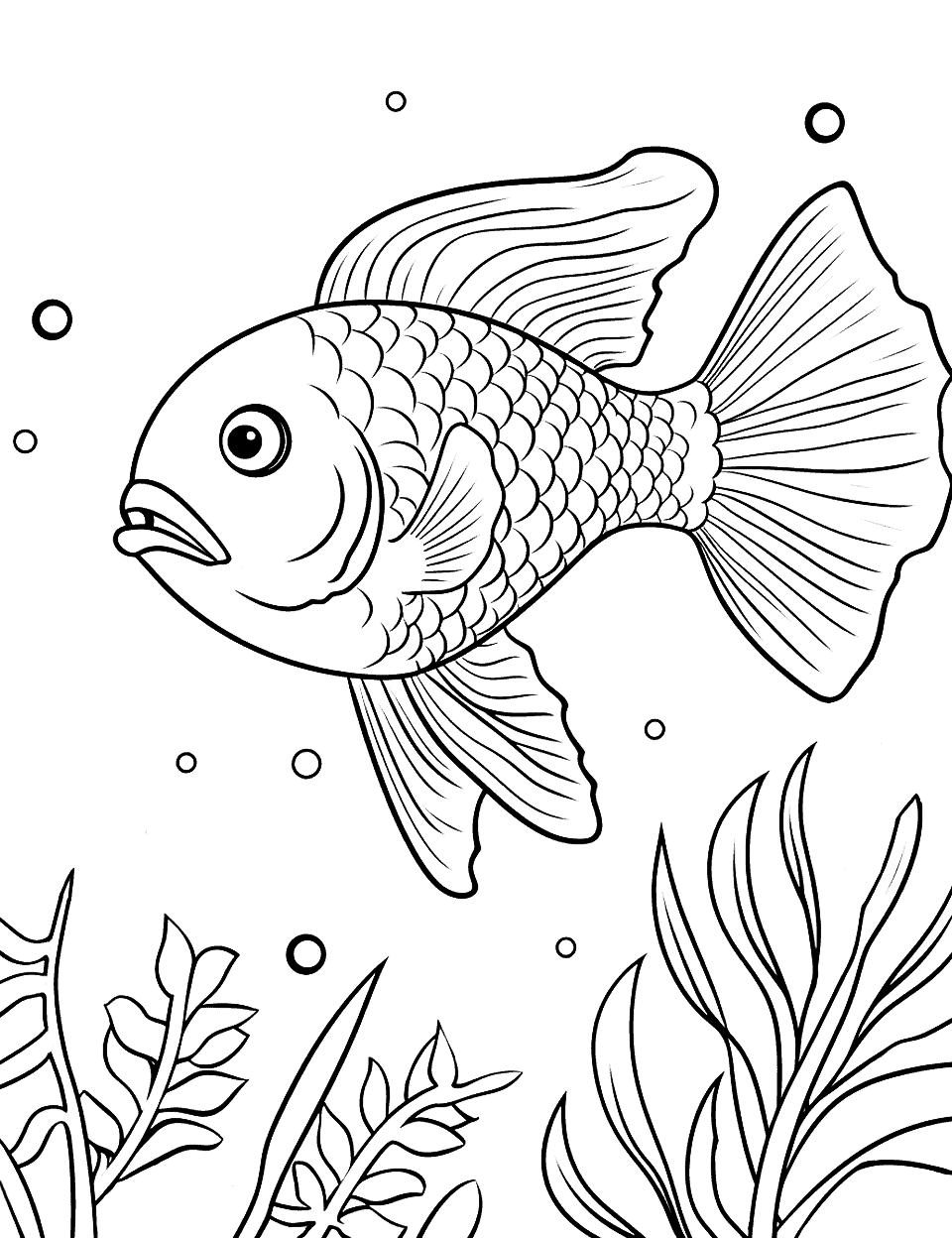 Fish coloring pages free printable sheets