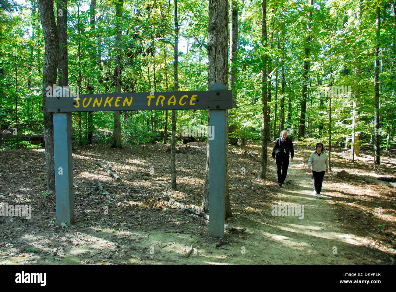 Old natchez trace hi