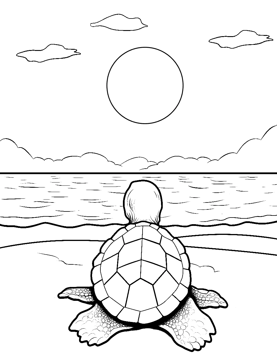 Turtle coloring pages free printable sheets