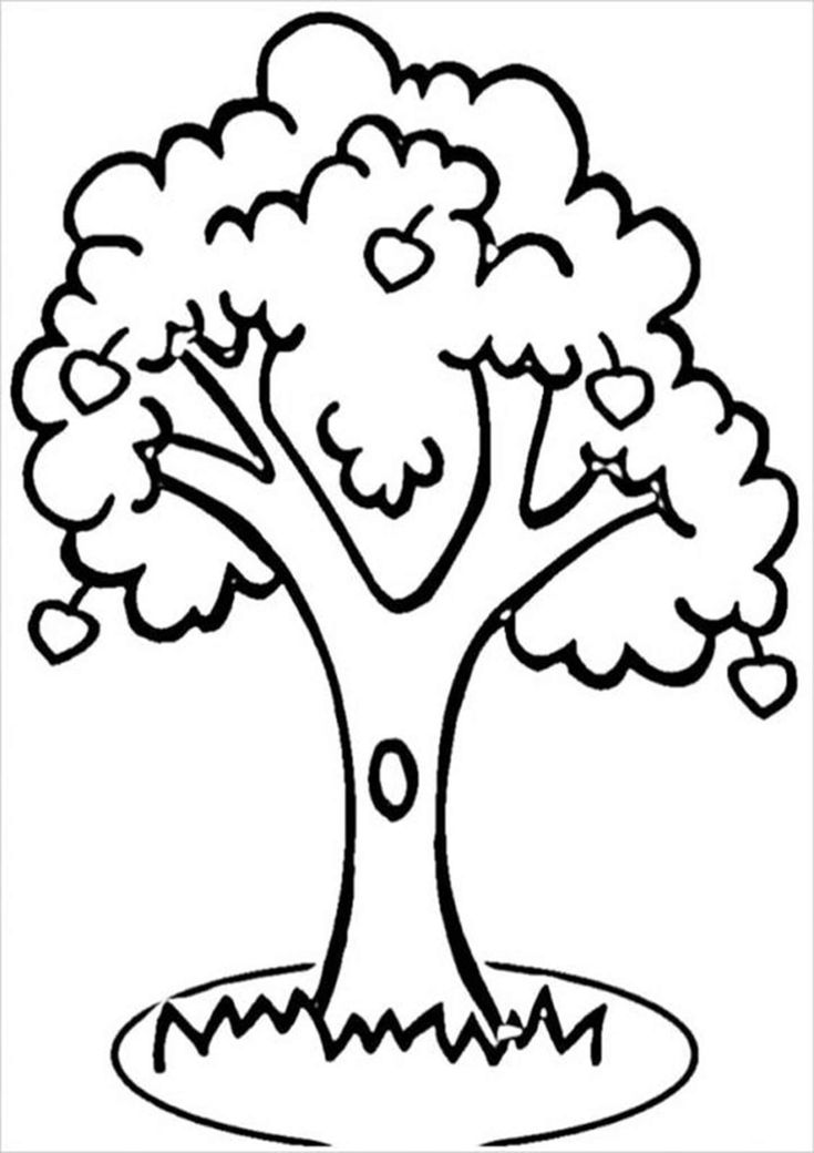 Free easy to print tree coloring pages flower coloring pages apple coloring pages tree coloring page