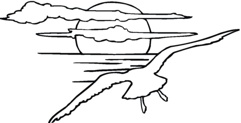 Seagull in the sunset coloring page free printable coloring pages