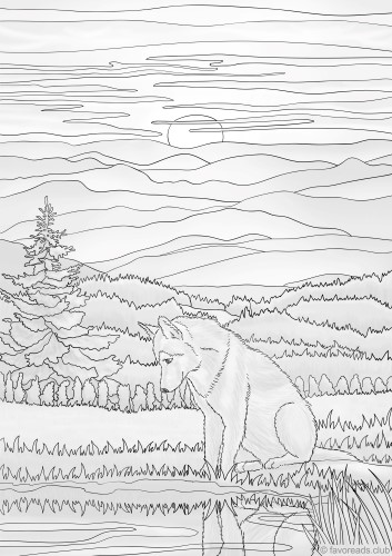 Wolf enjoys the sunset â favoreads coloring club